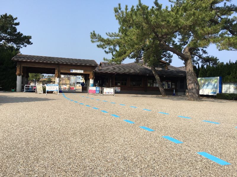 海の中道海浜公園(透水性脱色アスファルト舗装)